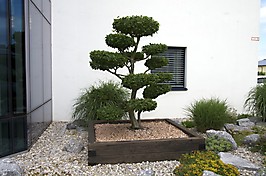 seminar_12